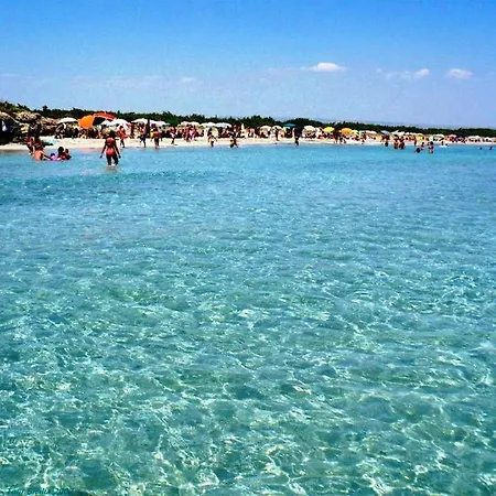 Giorgia *